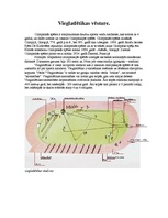 Referāts 'Vieglatlētika', 2.