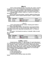 Referāts 'Vieglatlētika', 9.