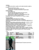 Referāts 'Vieglatlētika', 13.