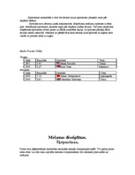 Referāts 'Vieglatlētika', 14.