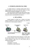 Referāts 'Internetā sniegto pakalpojumu specifika', 10.
