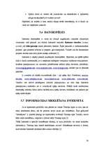 Referāts 'Internetā sniegto pakalpojumu specifika', 24.