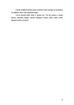 Referāts 'Internetā sniegto pakalpojumu specifika', 33.