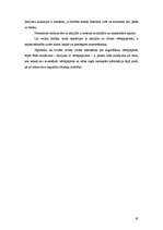 Referāts 'Internetā sniegto pakalpojumu specifika', 45.