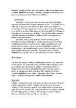 Konspekts 'A.Pumpurs. Lāčplēsis', 12.