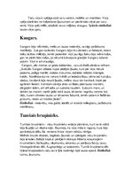 Konspekts 'A.Pumpurs. Lāčplēsis', 13.