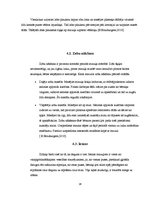 Referāts 'Bērnu un zīdaiņu masāža', 16.