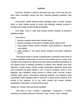 Referāts 'Rokraksts, tā attīstība un pielietojums laiku lokos', 2.