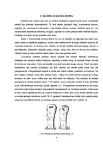 Referāts 'Rokraksts, tā attīstība un pielietojums laiku lokos', 6.