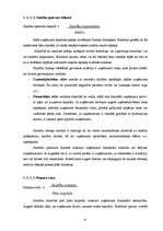 Referāts 'Mazo un vidējo uzņēmumu finanšu stratēģijas', 6.