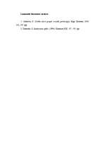 Eseja 'Georga Zimmela darbā „Saskarsmes spēle” pausto ideju atbilstība mūsdienu jaunieš', 4.