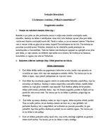 Paraugs 'Ilonas Leimanes romāna "Vilkaču mantiniece" fragmentu analīze', 1.