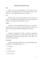 Referāts 'Japānas nacionālās virtuves izpēte', 10.