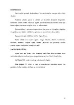 Referāts 'Japānas nacionālās virtuves izpēte', 12.