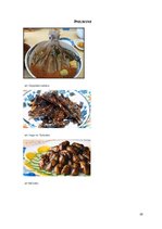 Referāts 'Japānas nacionālās virtuves izpēte', 23.