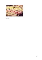 Referāts 'Japānas nacionālās virtuves izpēte', 26.