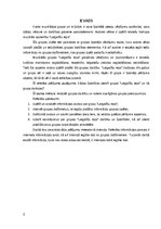 Referāts 'Muzikālās apvienības „Latgalīšu reps“ izpēte', 3.