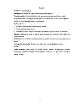 Referāts 'Svārstmigrācija', 3.