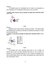 Referāts 'Svārstmigrācija', 13.