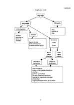 Referāts 'Svārstmigrācija', 21.