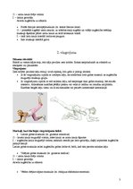 Paraugs 'Gurnu daļas vingrinājumi', 3.