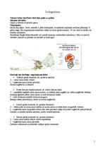 Paraugs 'Gurnu daļas vingrinājumi', 5.