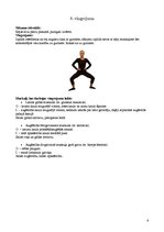 Paraugs 'Gurnu daļas vingrinājumi', 6.