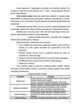 Referāts 'Personāla pārvaldība', 4.