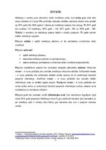 Referāts 'Mediācija civiltiesisko strīdu risināšanā', 2.