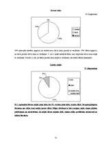 Referāts 'Jaunāko klašu skolēnu socializācija skolā ', 33.
