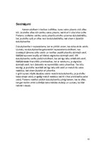 Referāts 'Latvijas pilsonība un dubultpilsonība', 13.