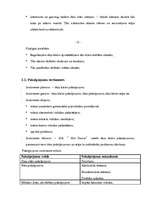 Biznesa plāns 'SIA “Hot Dance”', 9.