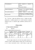 Biznesa plāns 'SIA “Hot Dance”', 10.