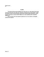 Referāts 'Interneta pieslēguma veidi un izmaksas', 4.