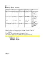 Referāts 'Interneta pieslēguma veidi un izmaksas', 10.