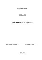 Eseja 'Organizācijas analīze', 1.