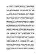 Eseja 'Organizācijas analīze', 2.