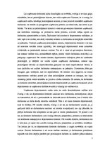 Eseja 'Organizācijas analīze', 3.