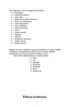 Prakses atskaite 'Kvalifikācijas prakse ēdienu gatavošanā Vācijā', 5.