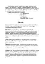 Prakses atskaite 'Kvalifikācijas prakse ēdienu gatavošanā Vācijā', 8.