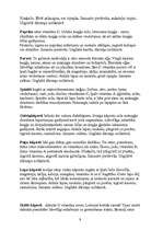 Prakses atskaite 'Kvalifikācijas prakse ēdienu gatavošanā Vācijā', 9.