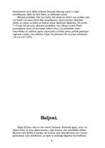 Prakses atskaite 'Kvalifikācijas prakse ēdienu gatavošanā Vācijā', 33.