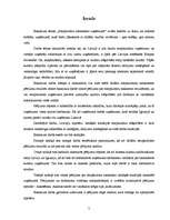 Diplomdarbs 'Starpkultūru saskarsme uzņēmumā', 5.