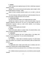 Diplomdarbs 'Starpkultūru saskarsme uzņēmumā', 13.