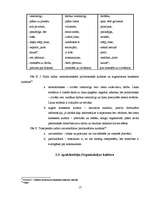 Diplomdarbs 'Starpkultūru saskarsme uzņēmumā', 17.