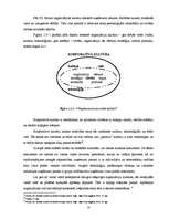 Diplomdarbs 'Starpkultūru saskarsme uzņēmumā', 18.