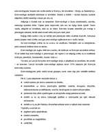 Diplomdarbs 'Starpkultūru saskarsme uzņēmumā', 22.