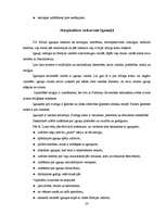 Diplomdarbs 'Starpkultūru saskarsme uzņēmumā', 23.