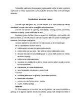 Diplomdarbs 'Starpkultūru saskarsme uzņēmumā', 25.