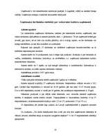 Diplomdarbs 'Starpkultūru saskarsme uzņēmumā', 28.